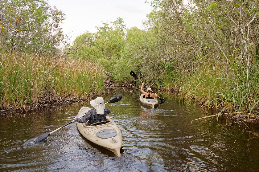 Kayak Tour on the Turner River. Kayaking. near Everglades City. .