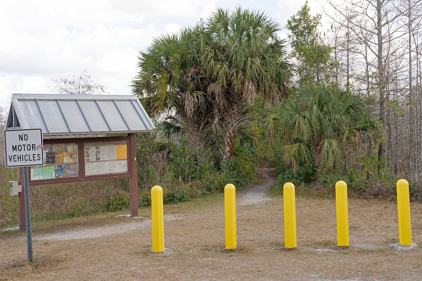 Gator Hook Trail. Trail head. near Ochopee. .