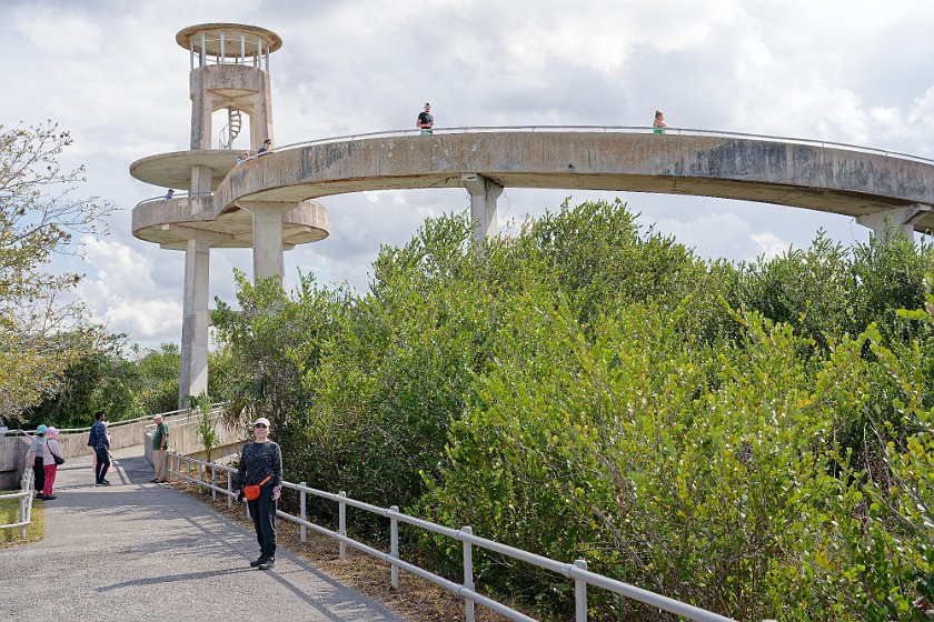Shark Valley Bicycling Tour. Observation tower. near Miami. .