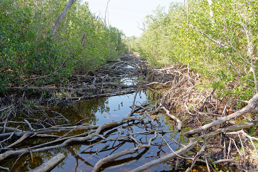 Christian Point Trail. Channel along Main Park Road. near Homestead. .
