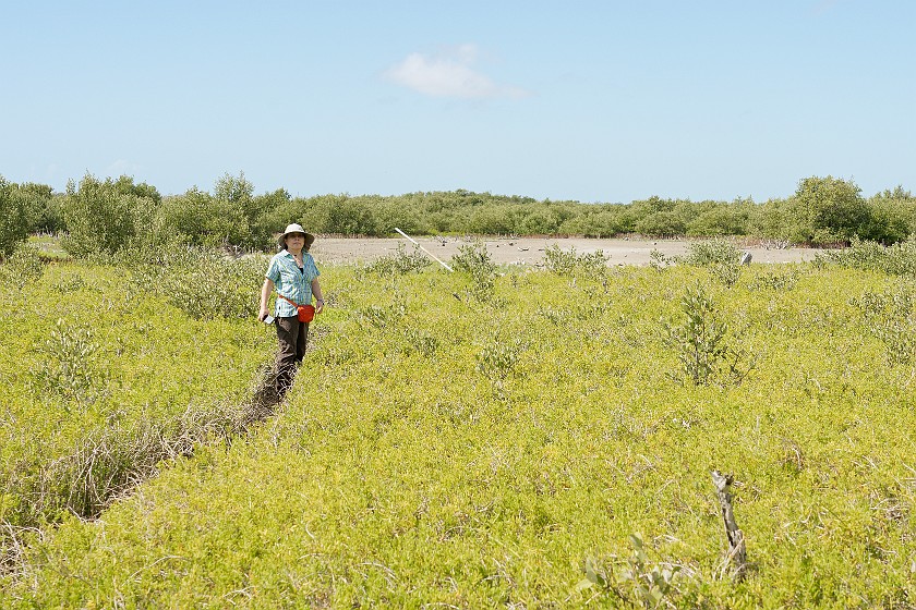 Christian Point Trail. Hiking. near Homestead. .