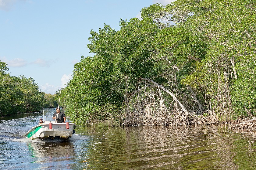 Backcountry Boat Tour. Wilderness waterway. near Homestead. .