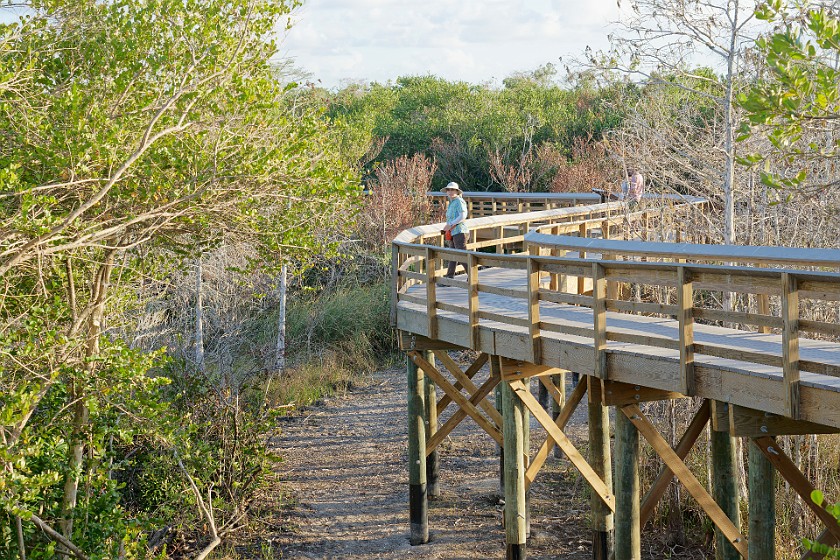 Pa-Hay-Okee. Boardwalk. near Homestead. .