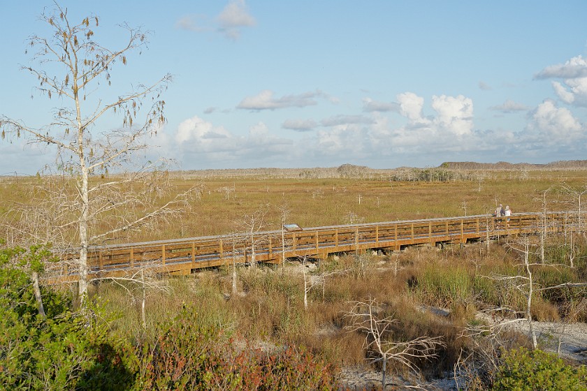 Pa-Hay-Okee. Marsh. near Homestead. .