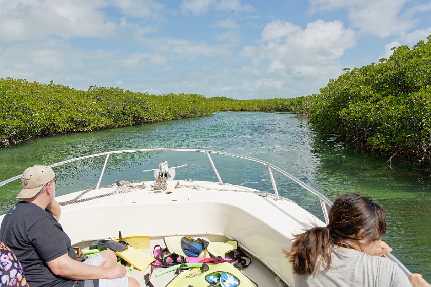 Biscayne National Park Snorkel and Paddle Tour. Boat tour through the mangroves of Jones Lagoon. near Homestead. .