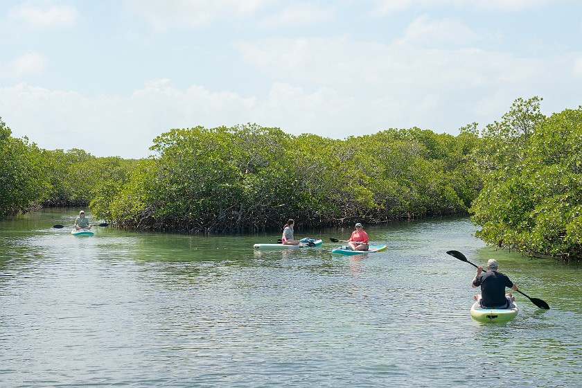 Biscayne National Park Snorkel and Paddle Tour. Standup paddleboarding. near Homestead. .