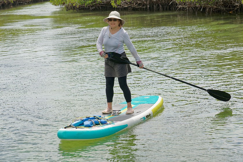 Biscayne National Park Snorkel and Paddle Tour. Standup paddleboarding. near Homestead. .