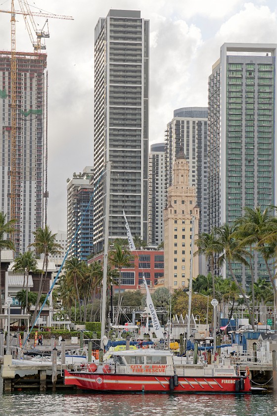 Miami Millionaire’s Row Sightseeing Cruise. Freedom tower and Bayside marina. Miami. .