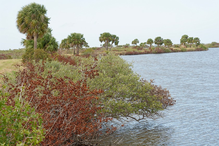 Black Point Wildlife Drive. Black Point Creek. Merritt Island. .